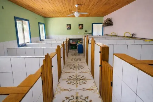 Instalação